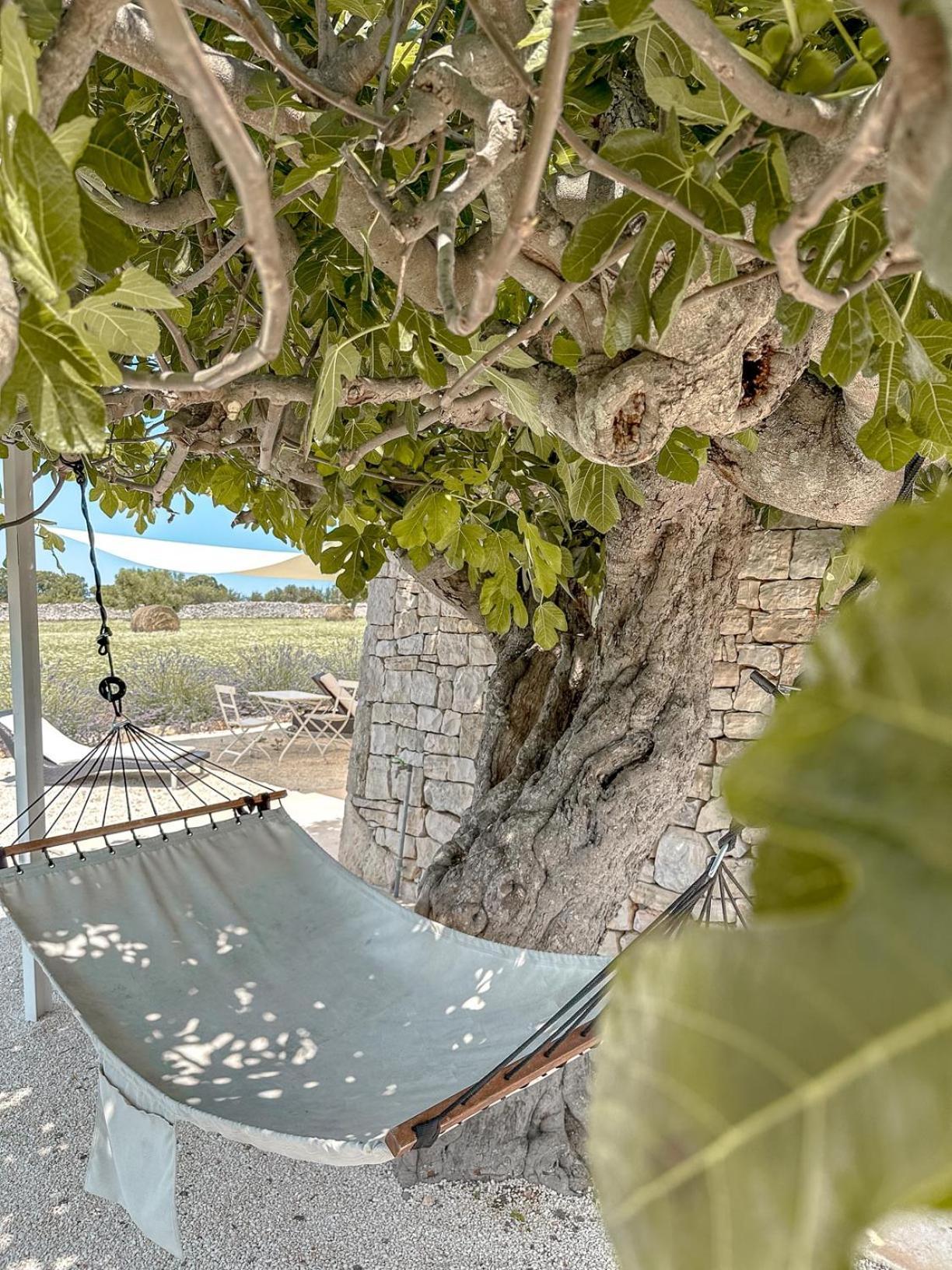 Masseria Pavone Martina Franca Eksteriør bilde